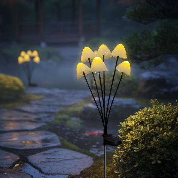 Solar LED Lights