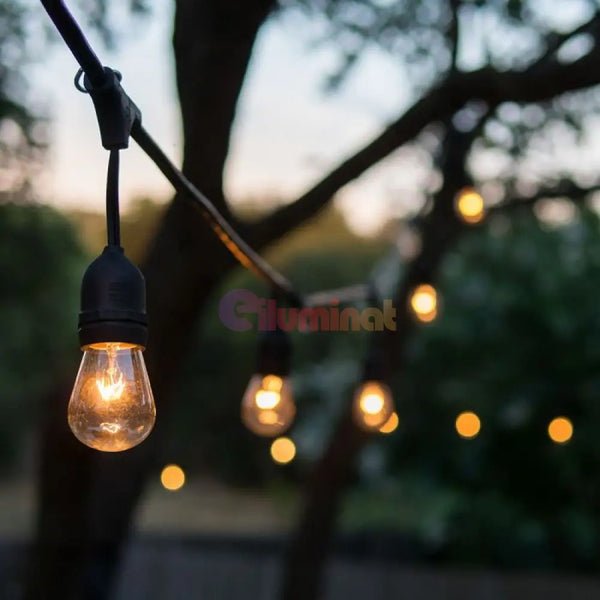 Outdoor String Lights